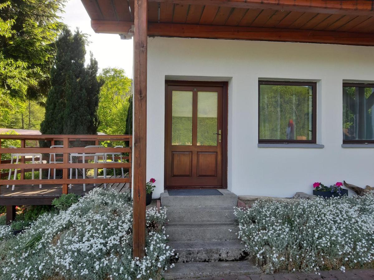 Hotel Owr Przystan à Międzybrodzie Bialskie Extérieur photo